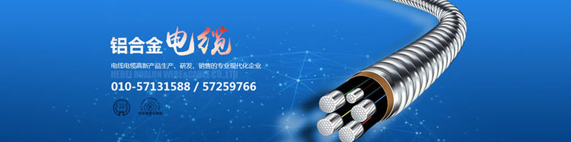 滄州市統(tǒng)計工作規(guī)范化建設(shè)推進會在華倫公司順利召開！